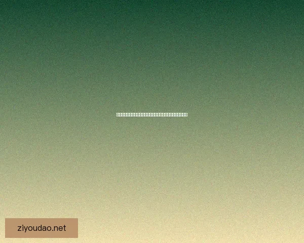 地下城刺客加点攻略与技巧分析全面解析如何打造最强刺客角色