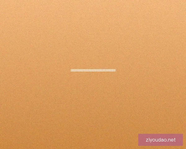 梦幻西游同心肉脯制作方法与使用技巧全解析，提升你的游戏体验